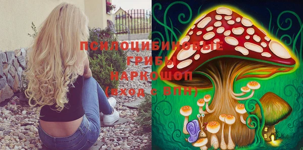 спиды Навашино