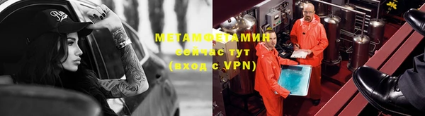 индика Надым