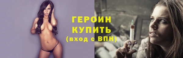 индика Надым