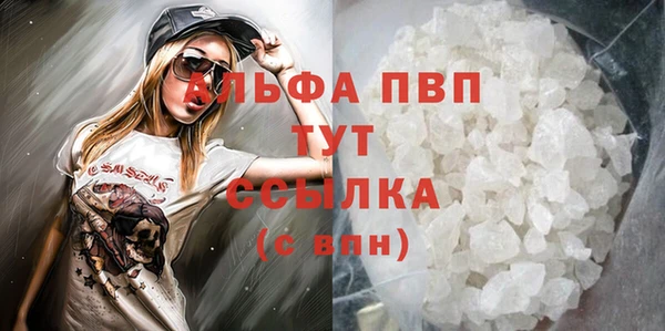 индика Надым